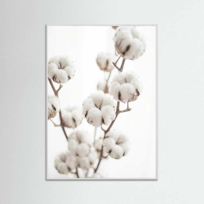 White Wood Whispering Reeds