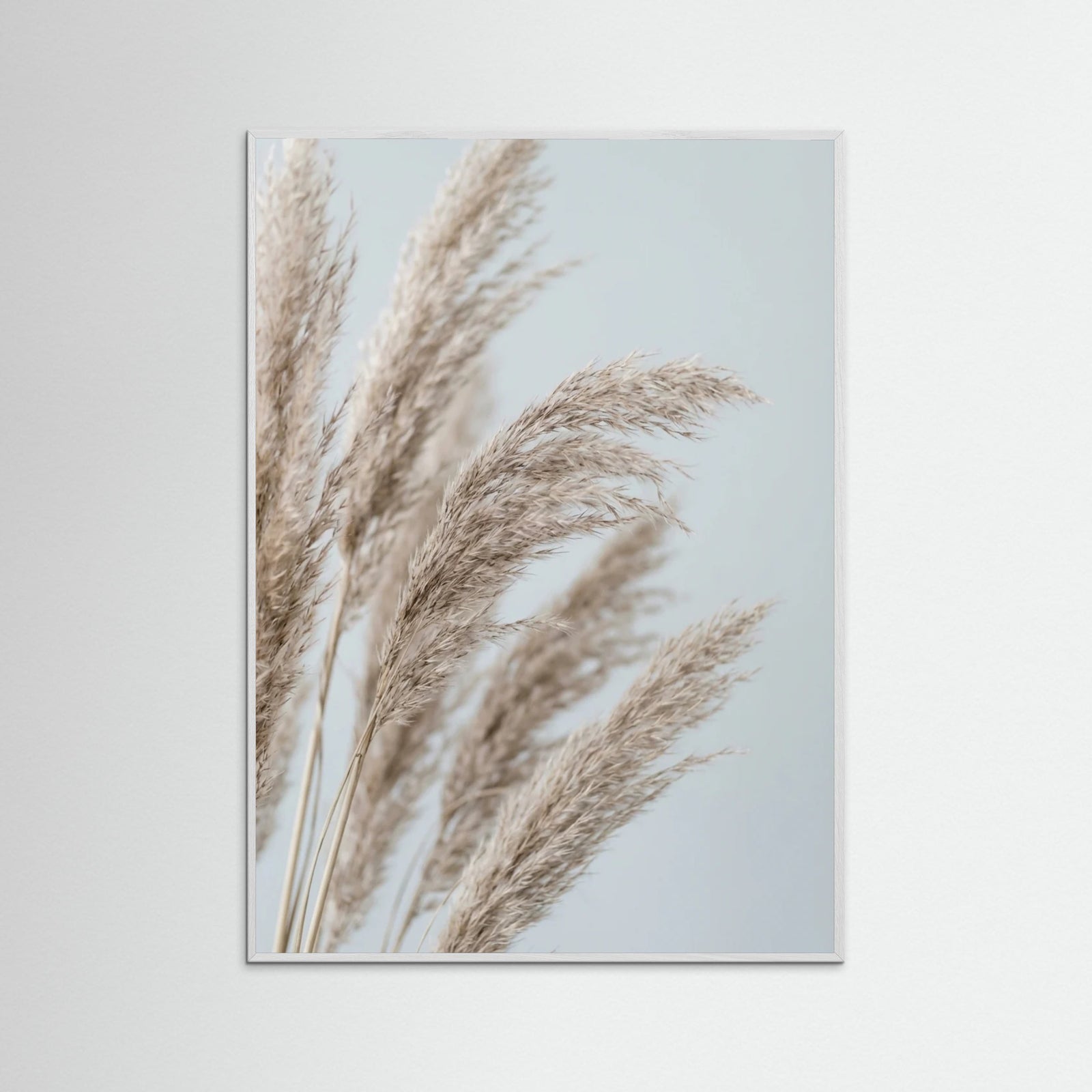 White Wood Whispering Seedlings