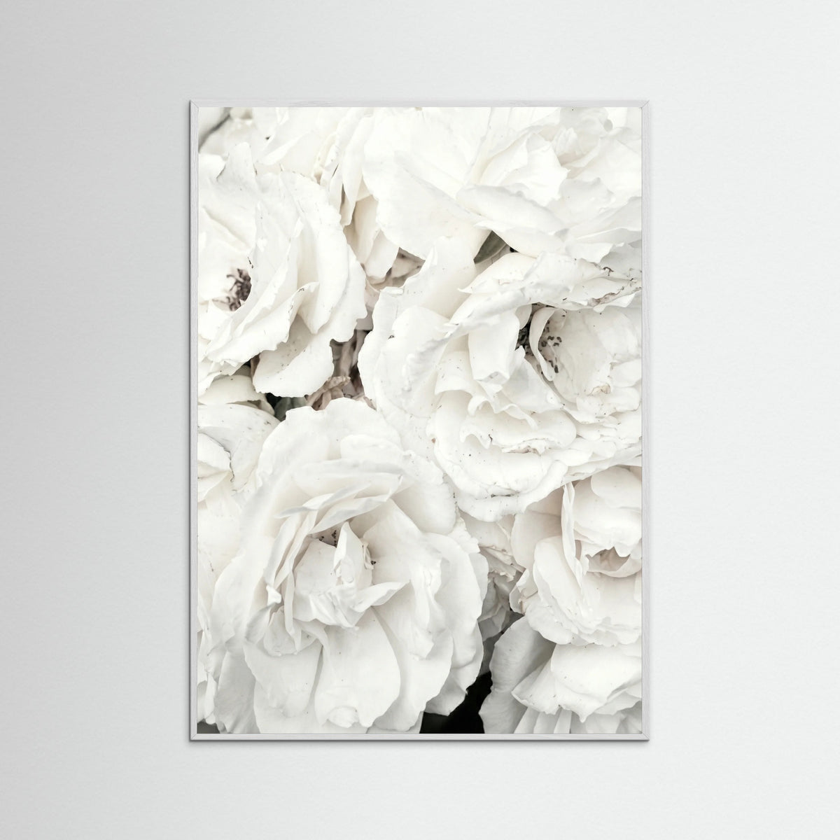 White Wood White Petal Embrace