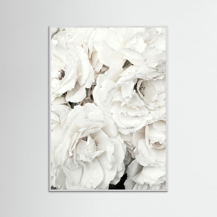 White Wood White Petal Embrace