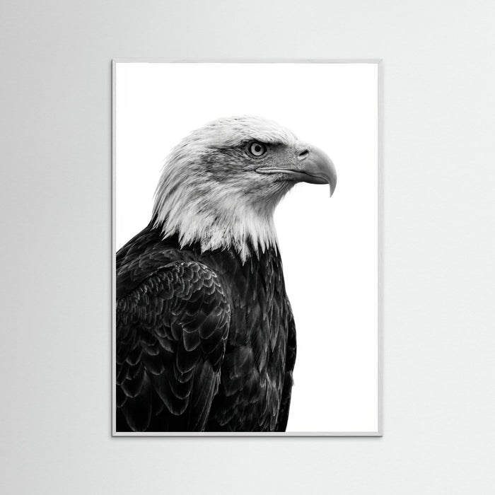 White Wood Wild Profile