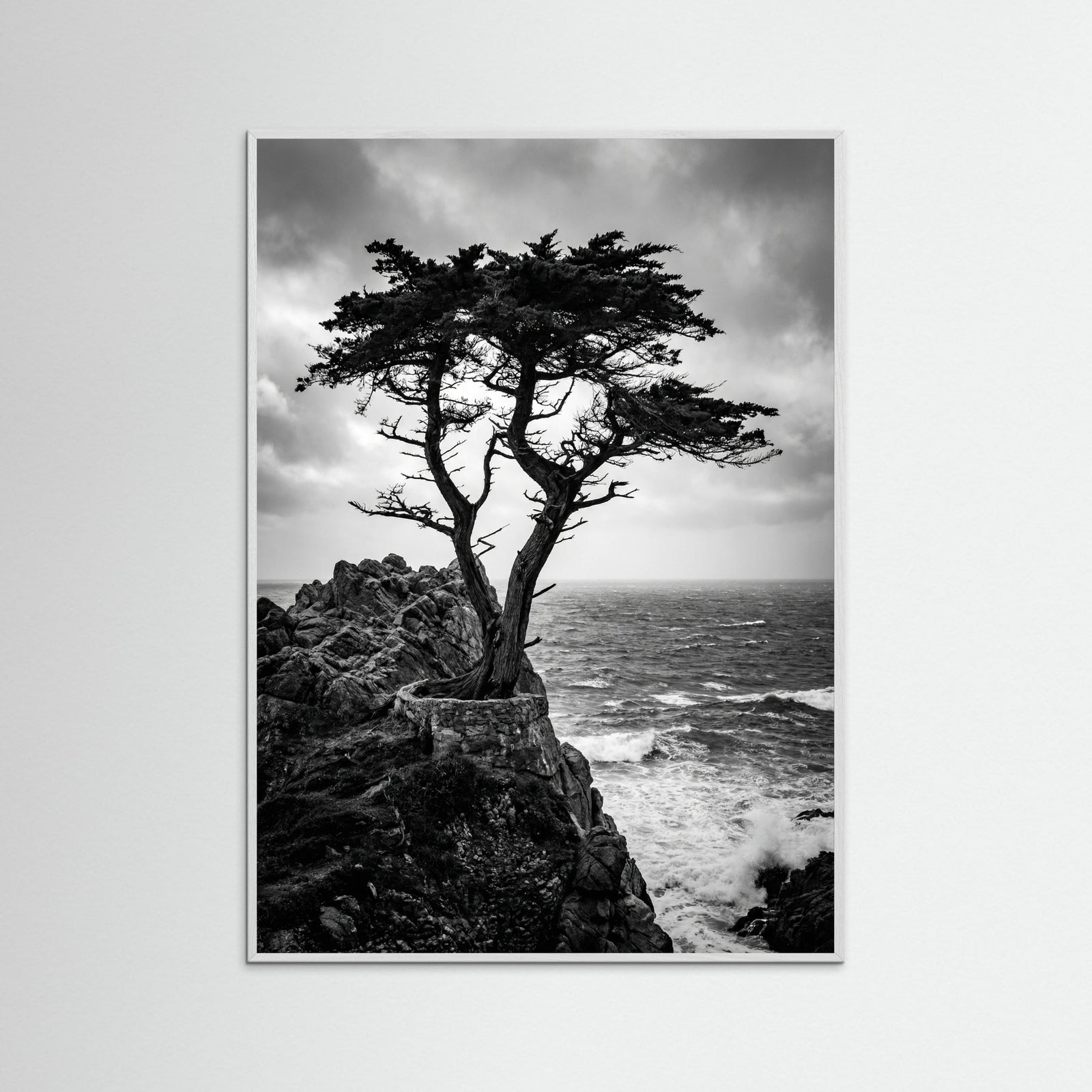 White Wood Windblown Grace