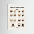 White Wood Wine Spectrum Guide