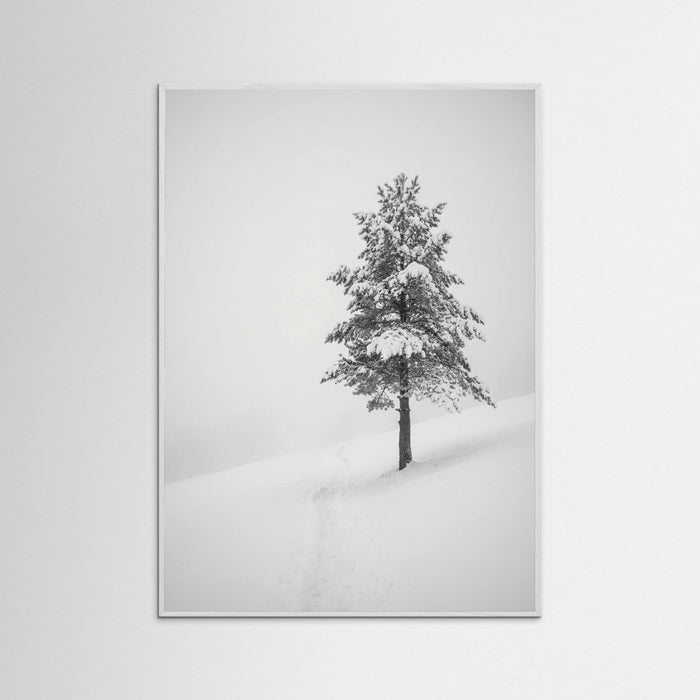 White Wood Winter Ascent