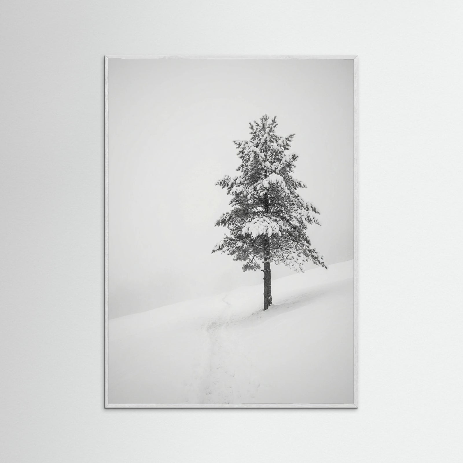 White Wood Winter Ascent