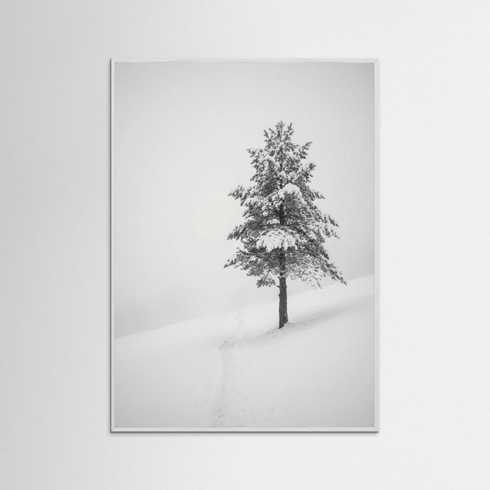 White Wood Winter Ascent