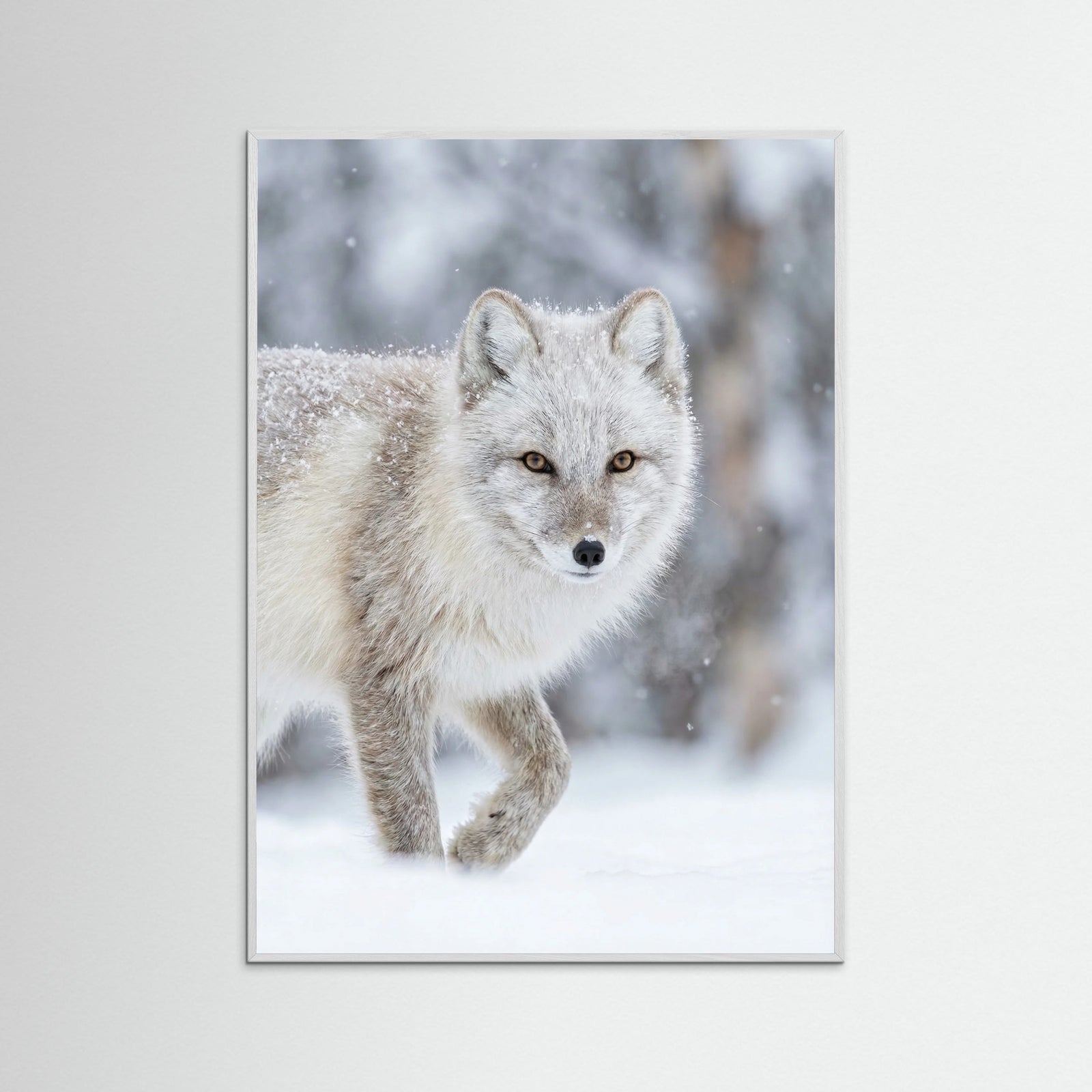 White Wood Winter Majesty