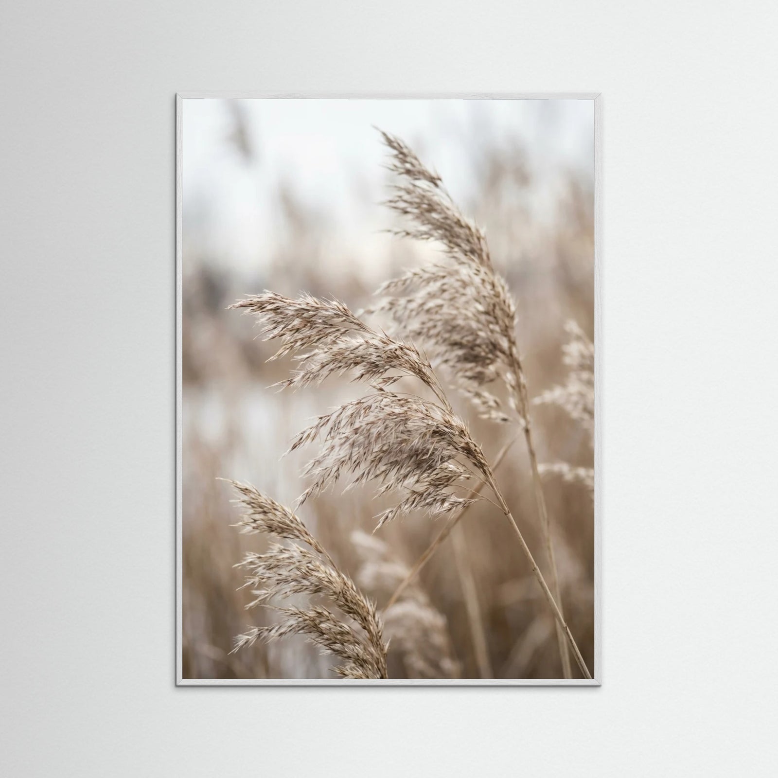 White Wood Winter Whisper