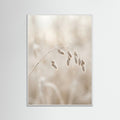 White Wood Winter Whispers
