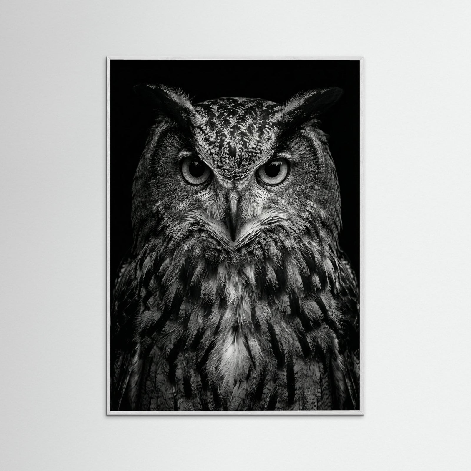 White Wood Wise Labrador