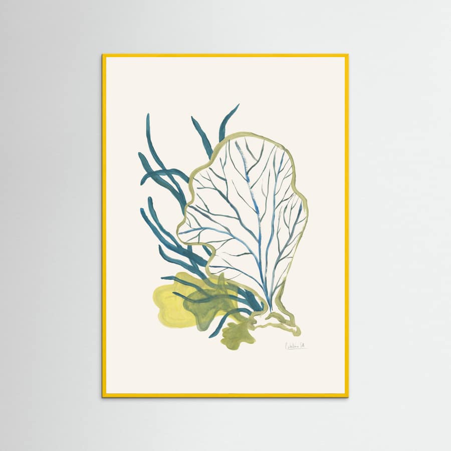 Algae No1 Poster – poster and art print