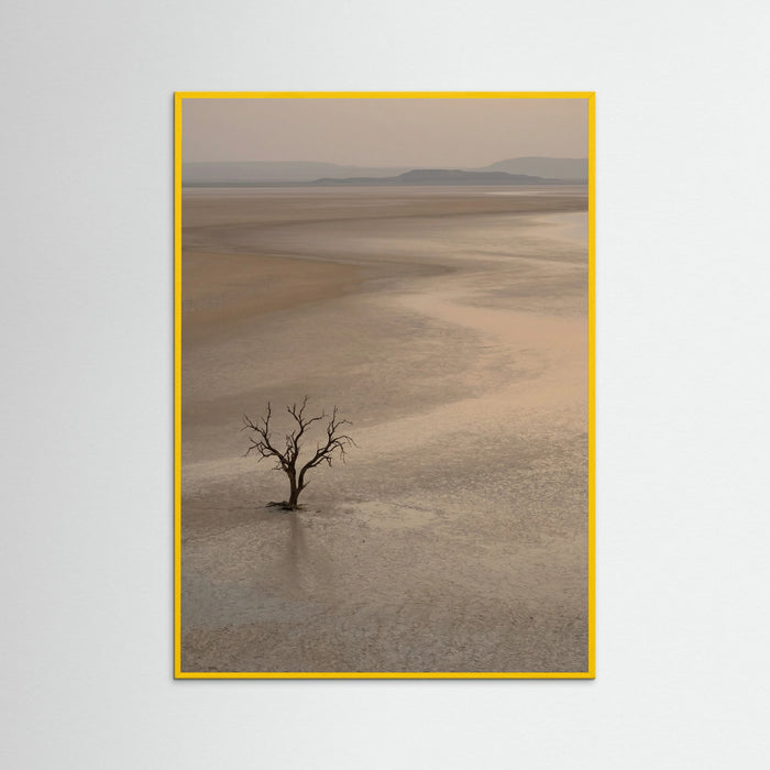 Yellow Wood Arid Horizon
