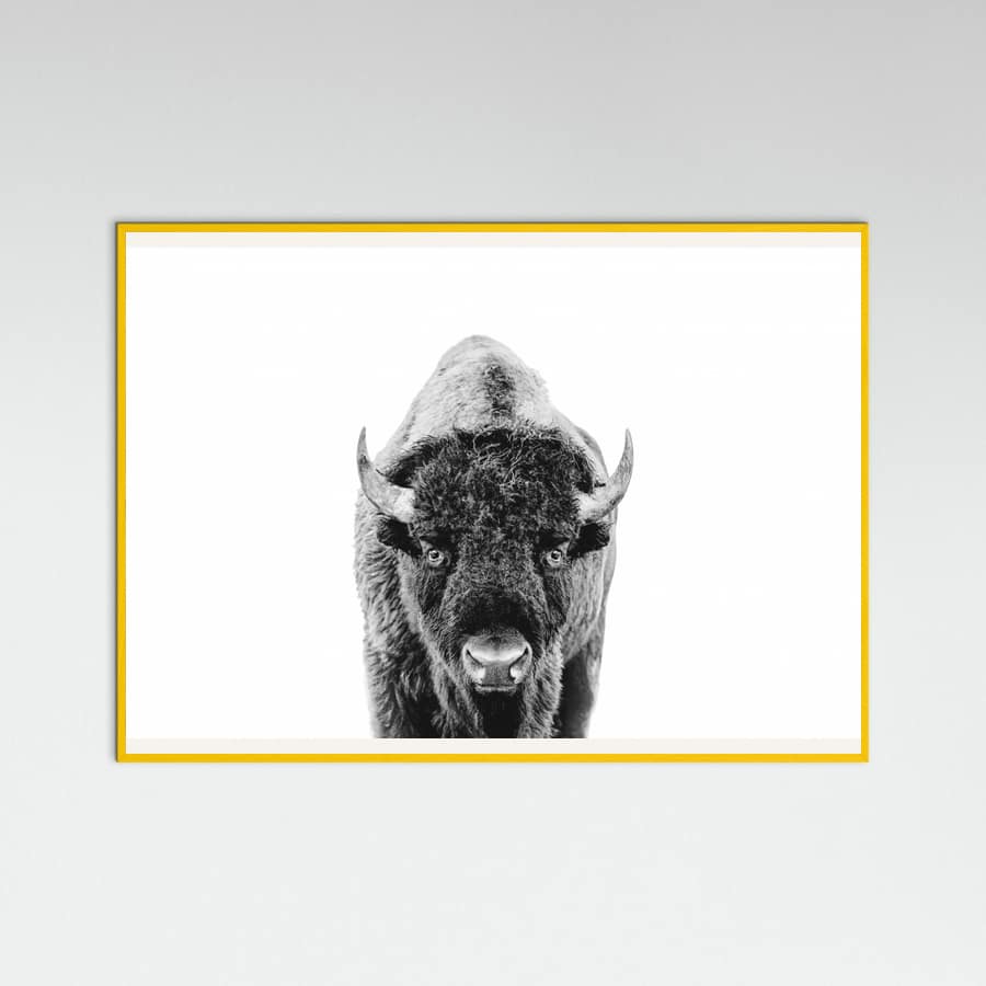 Póster Bison Bw – póster e impresión artística