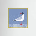 Black Headed Gull Poster – plakat og kunsttryk