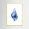 Poster Blue Seashell On White Background No 2 – poster e stampa artistica