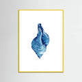 Affiche Blue Seashell On White Background No3 – affiche et impression d’art
