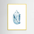 Blue Seashell On White Background No6 Poster – plakat og kunsttryk