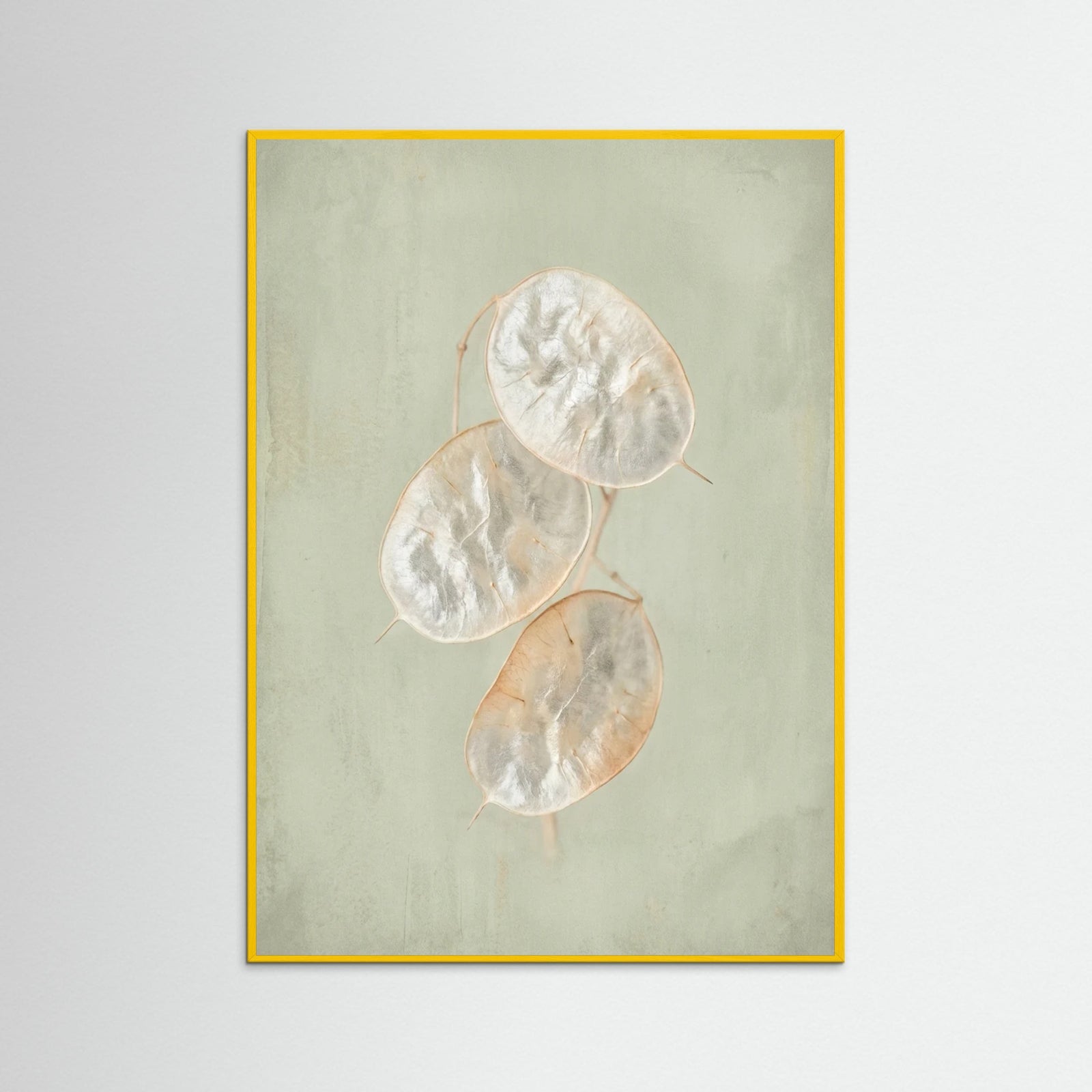 Yellow Wood Blush Bloom