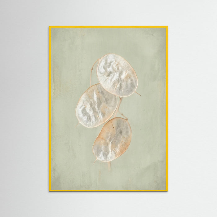 Yellow Wood Blush Bloom