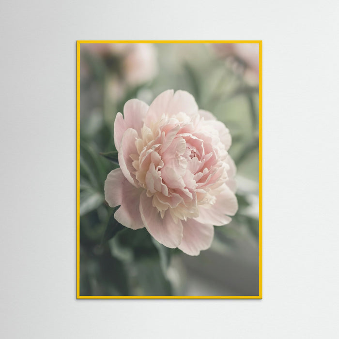 Yellow Wood Blush Dahlia