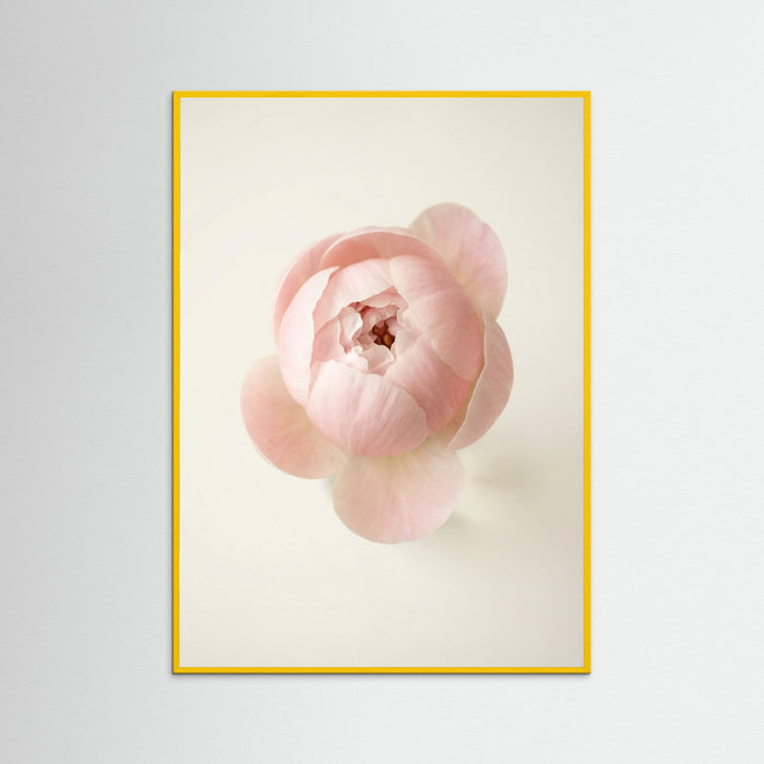 Yellow Wood Blushing Blooms