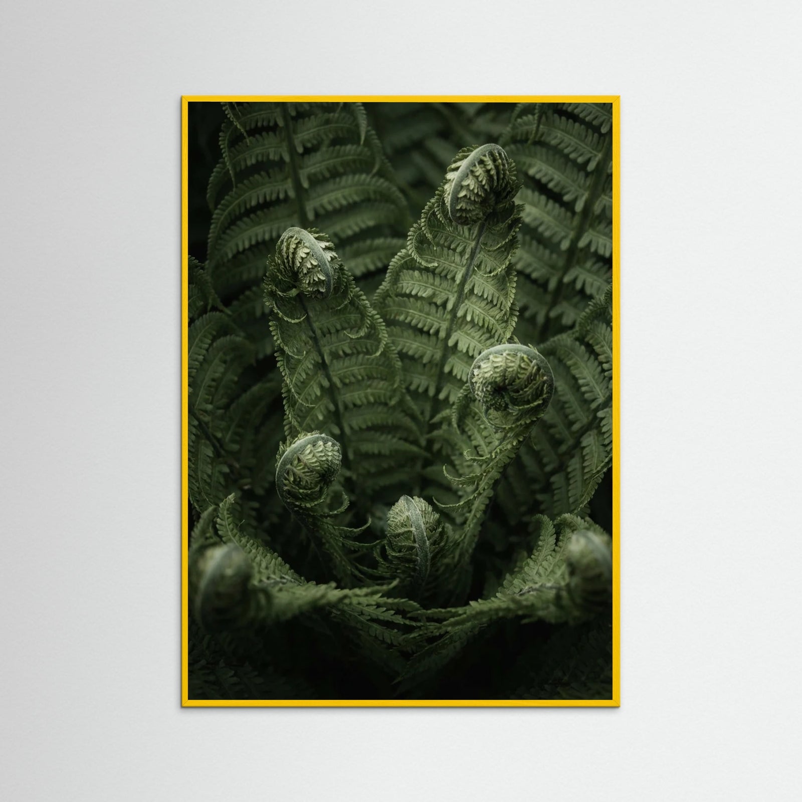 Yellow Wood Botanical Depths