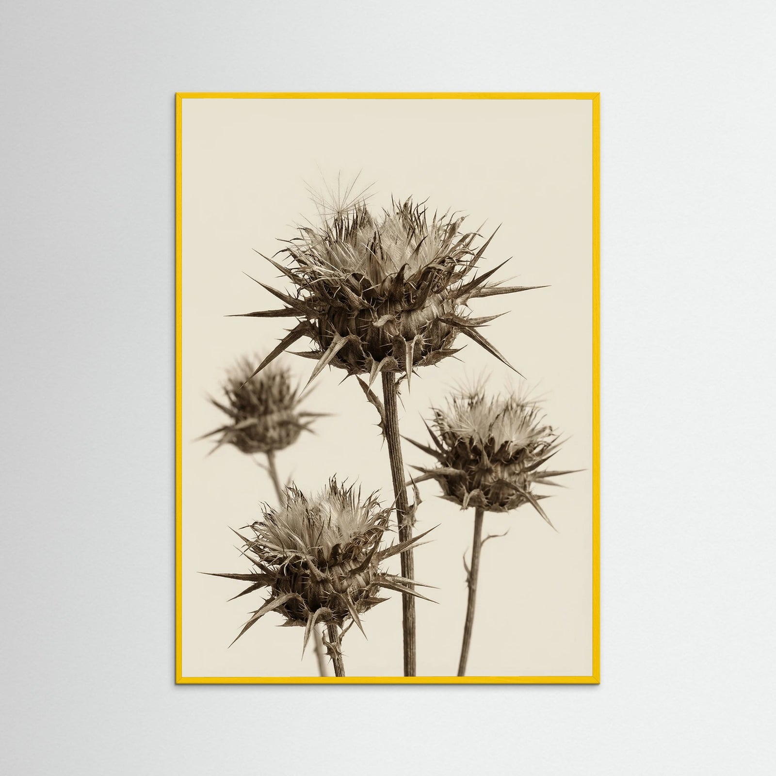 Yellow Wood Botanical Elegance