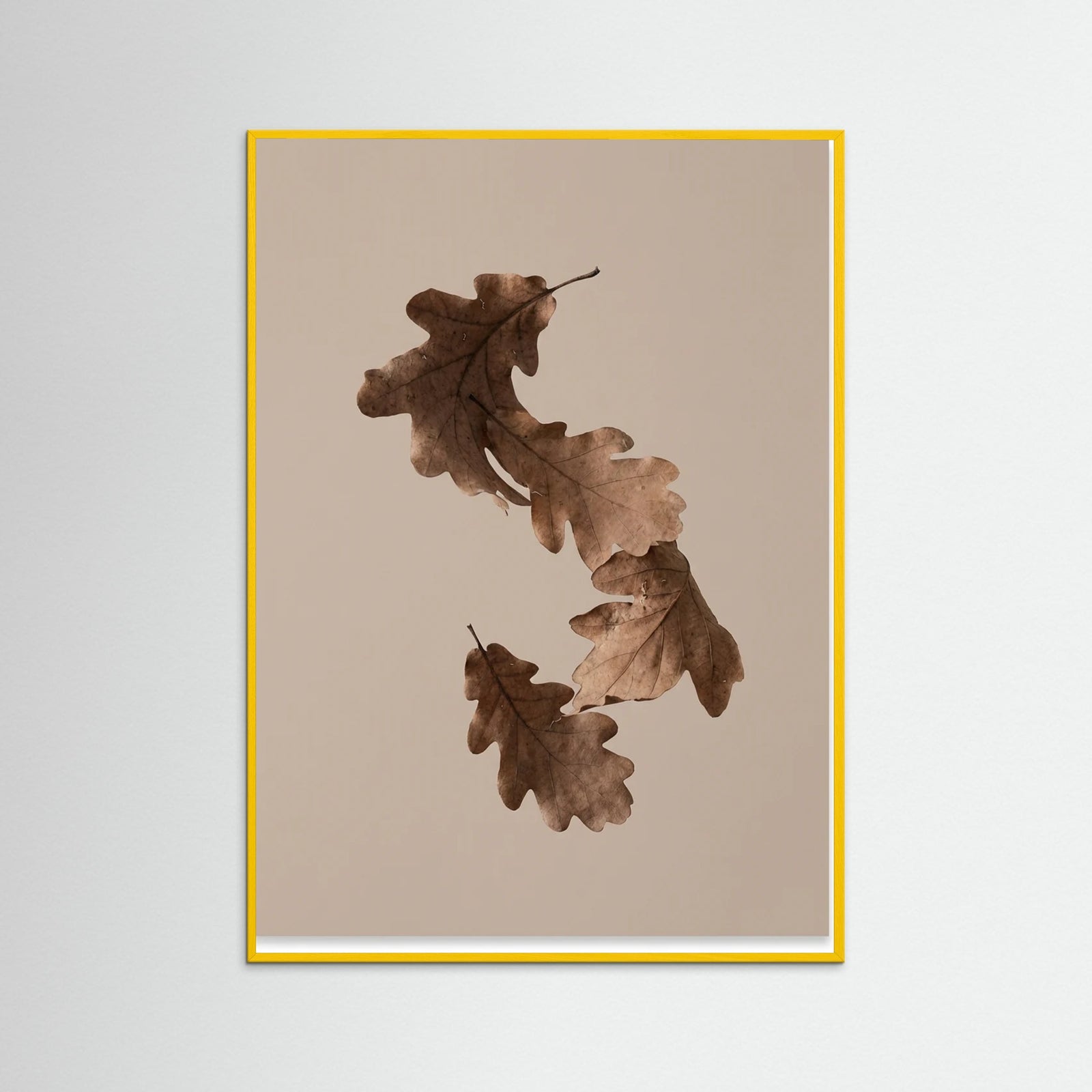 Yellow Wood Botanical Forms