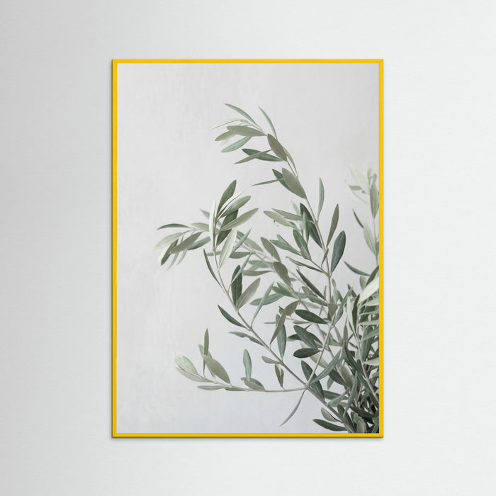 Yellow Wood Botanical Grace