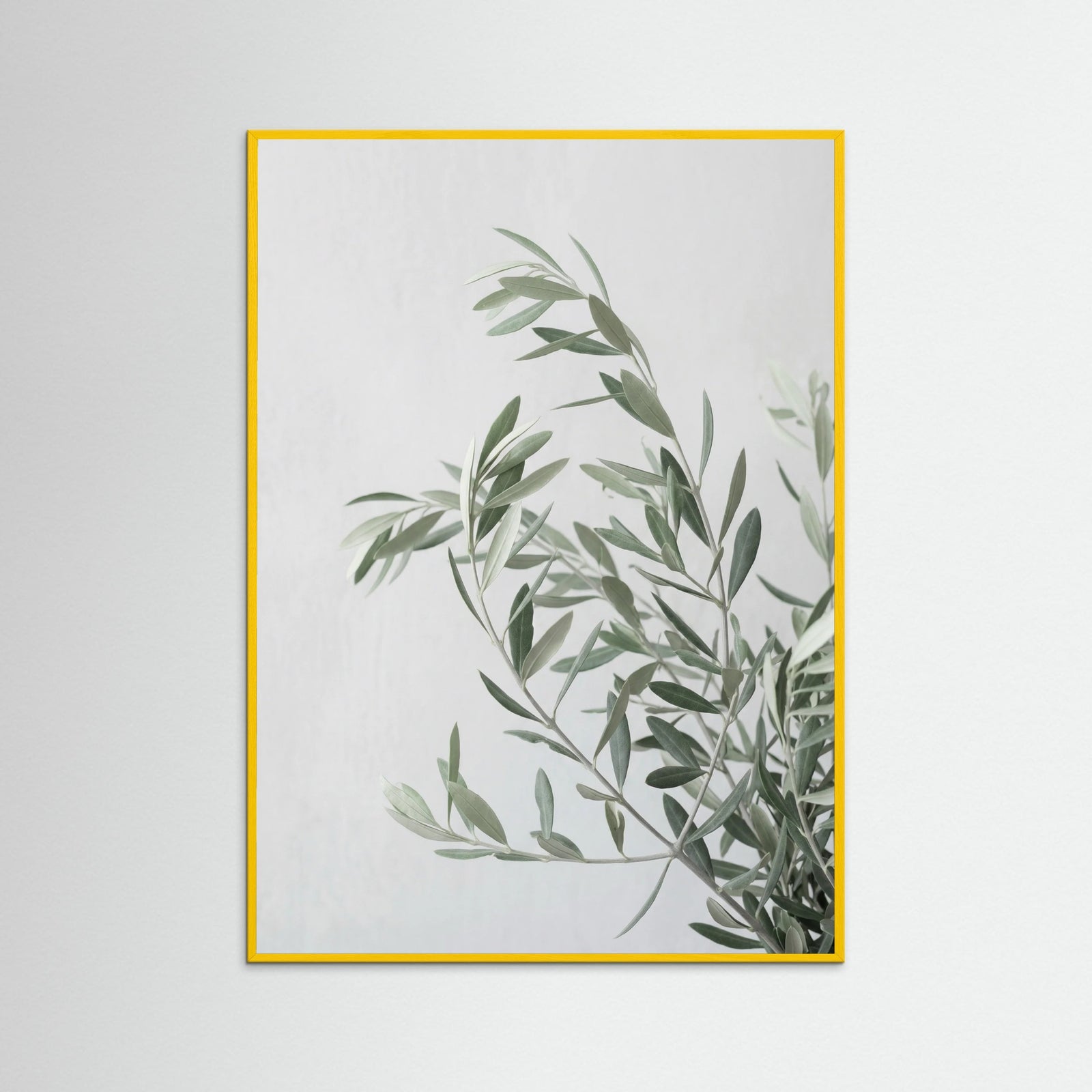 Yellow Wood Botanical Grace