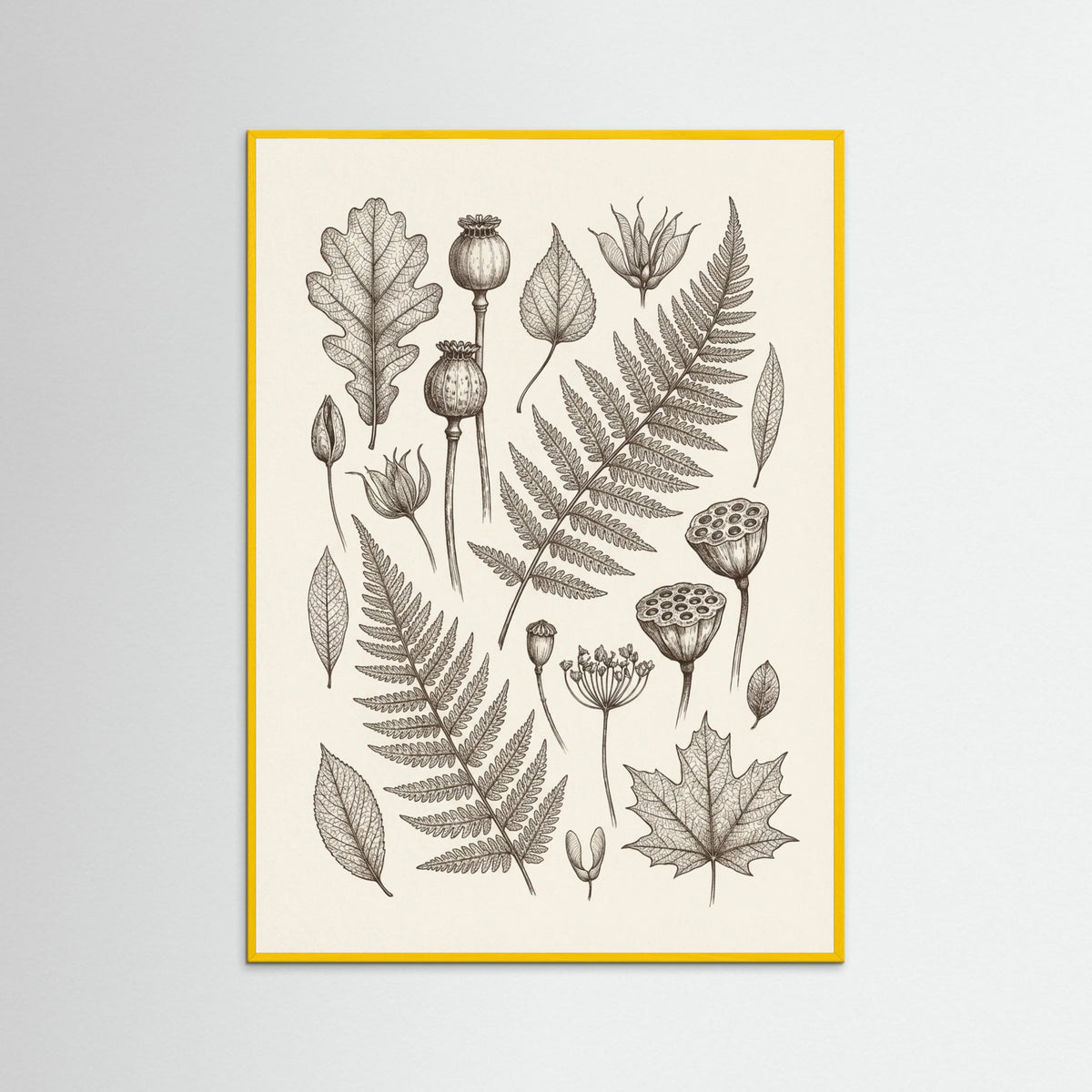 Yellow Wood Botanical Intricacy