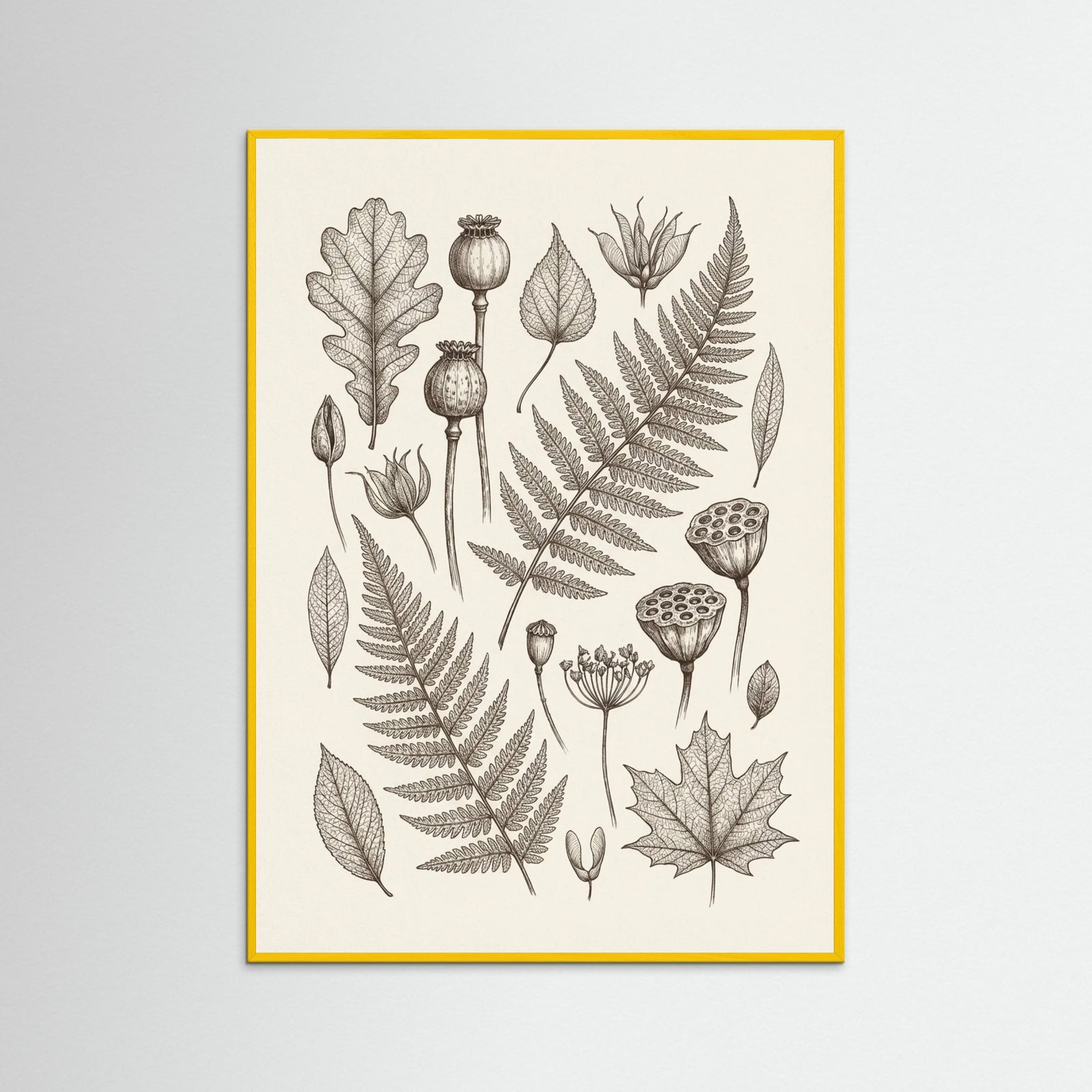 Yellow Wood Botanical Intricacy