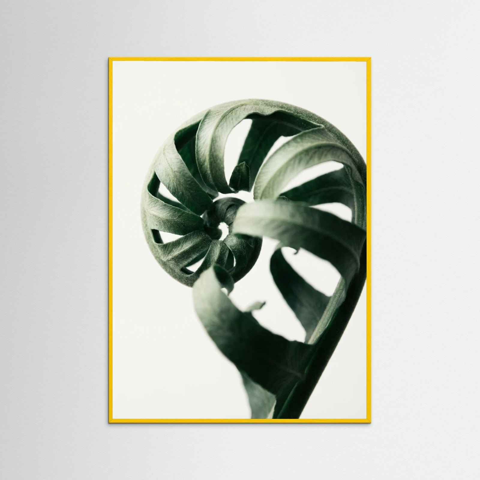 Yellow Wood Botanical Serenity