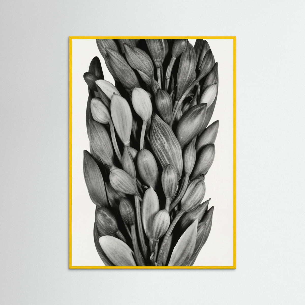 Yellow Wood Budding Forms