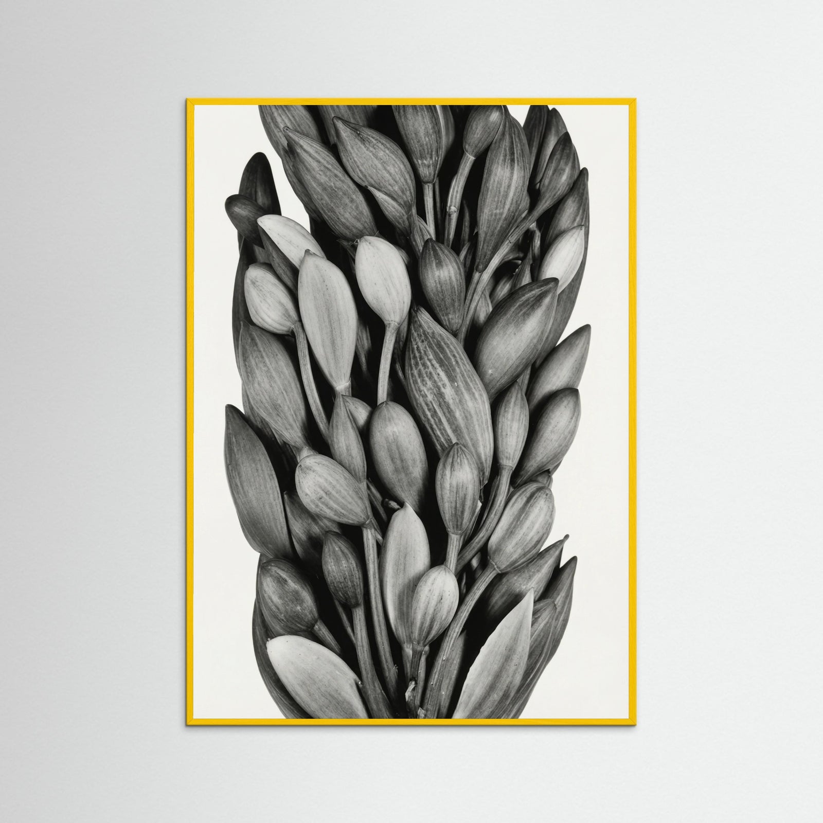 Yellow Wood Budding Forms