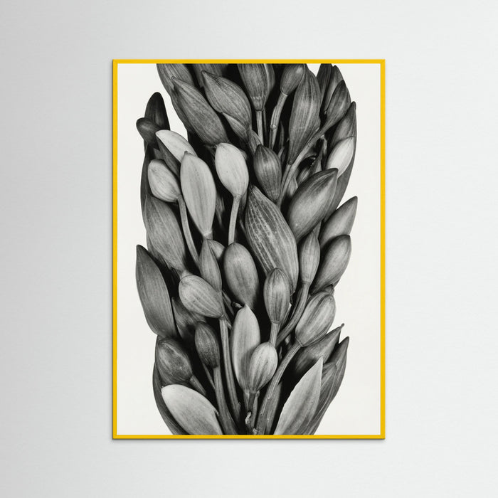 Yellow Wood Budding Forms