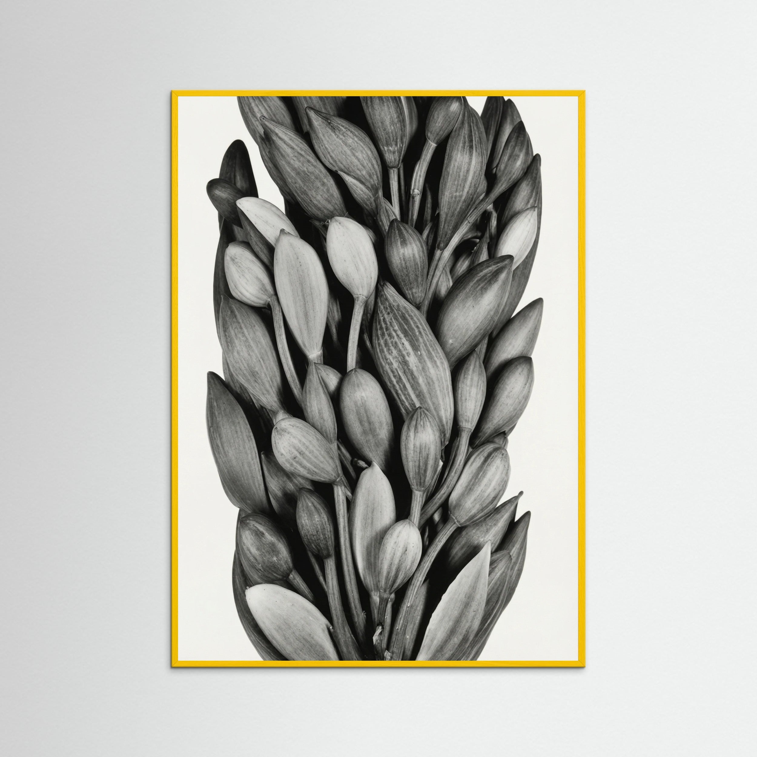 Yellow Wood Budding Forms