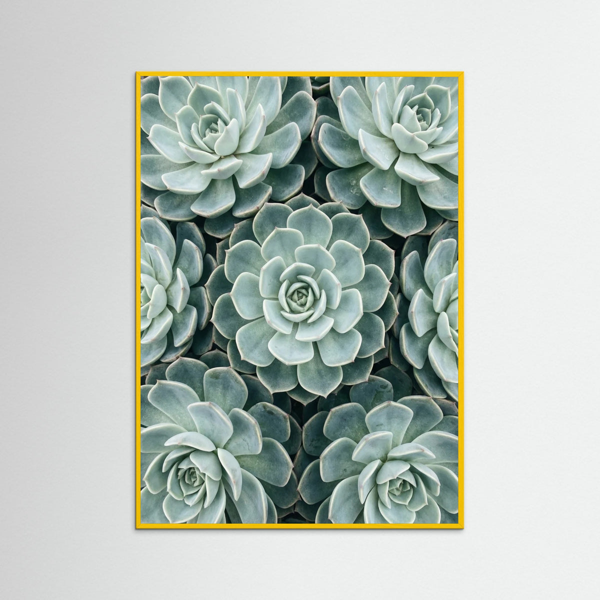 Yellow Wood Cactus Array