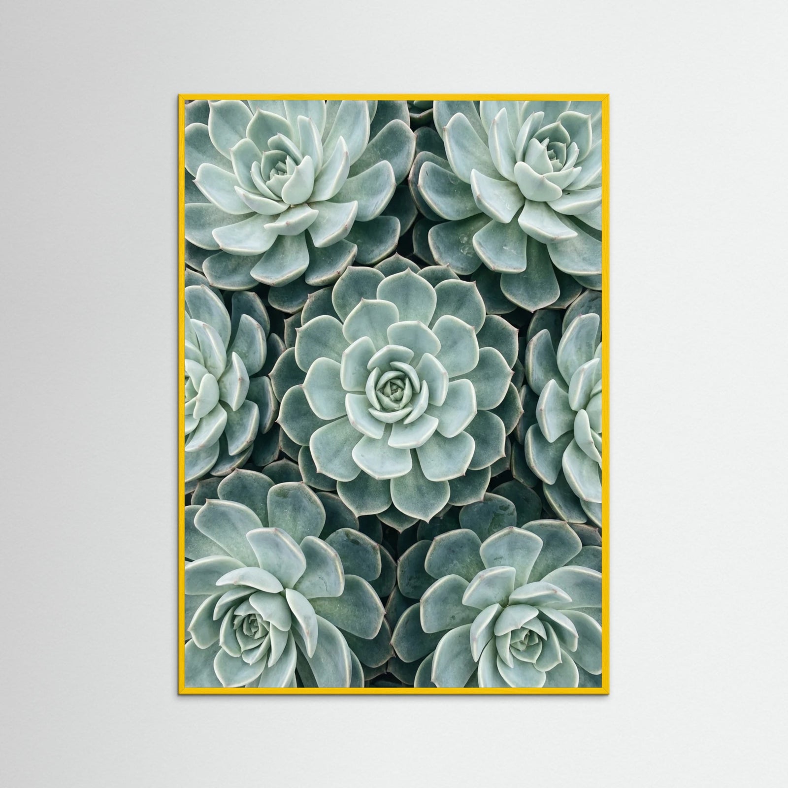 Yellow Wood Cactus Array
