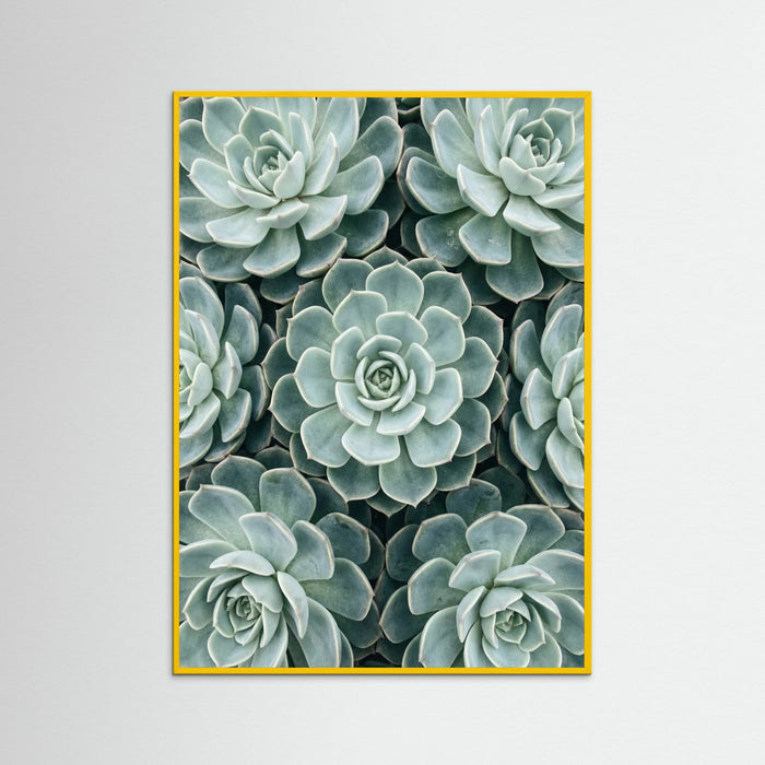 Yellow Wood Cactus Array