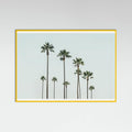 Póster Cali Palms – póster e impresión artística