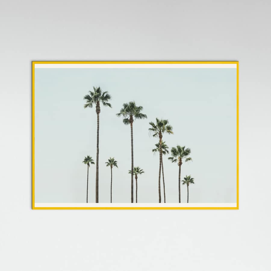 Póster Cali Palms – póster e impresión artística