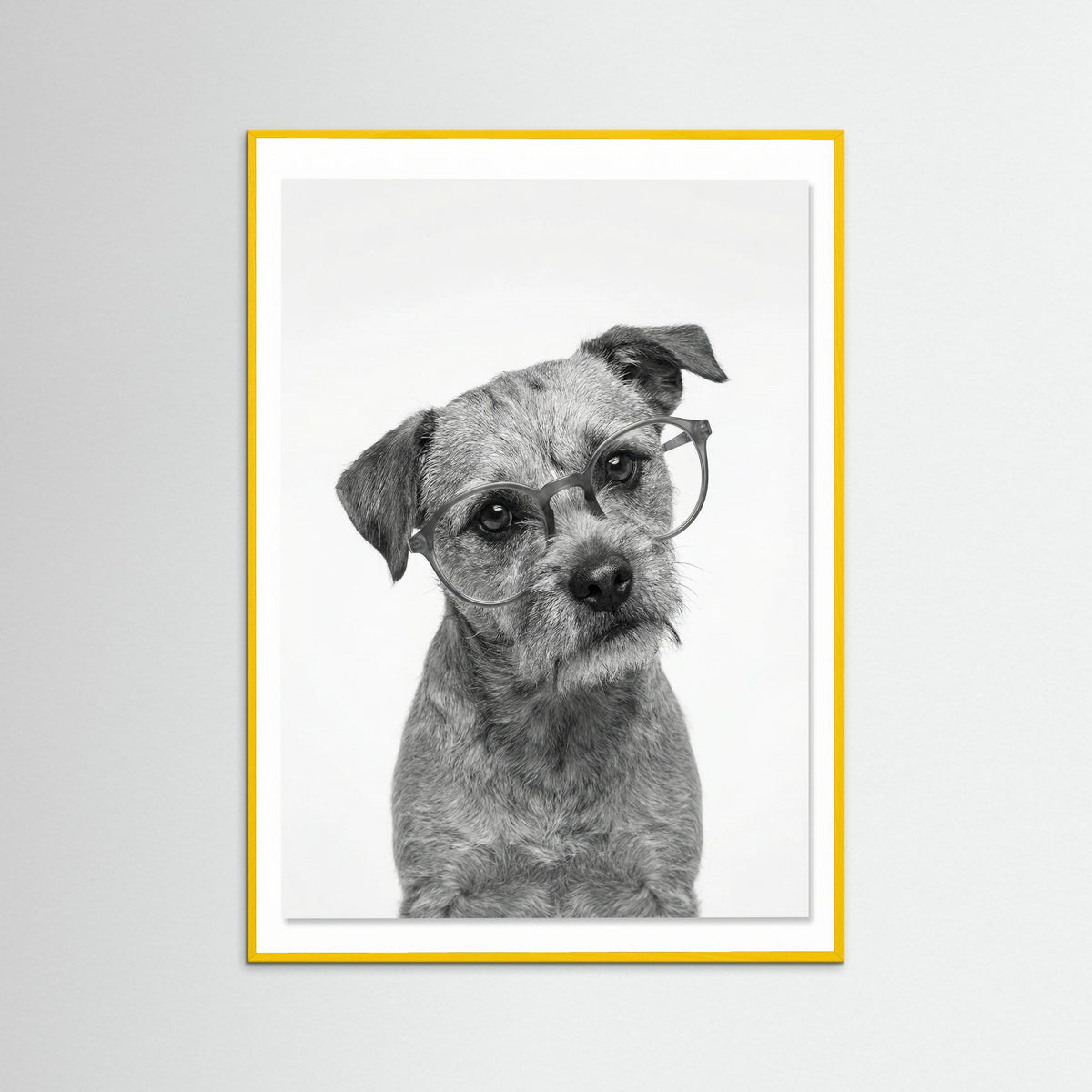 Yellow Wood Canine Companions