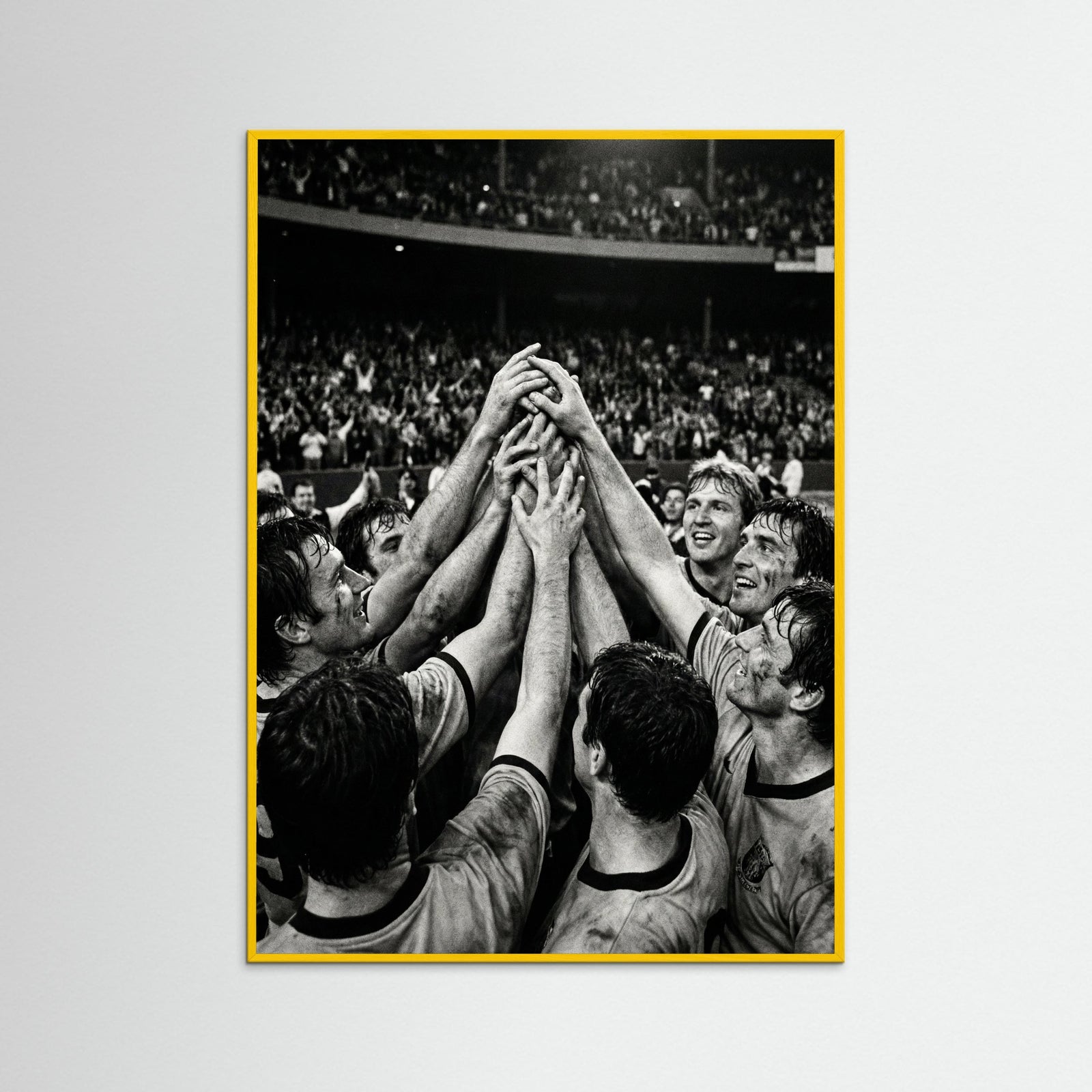 Yellow Wood Champions Gaze