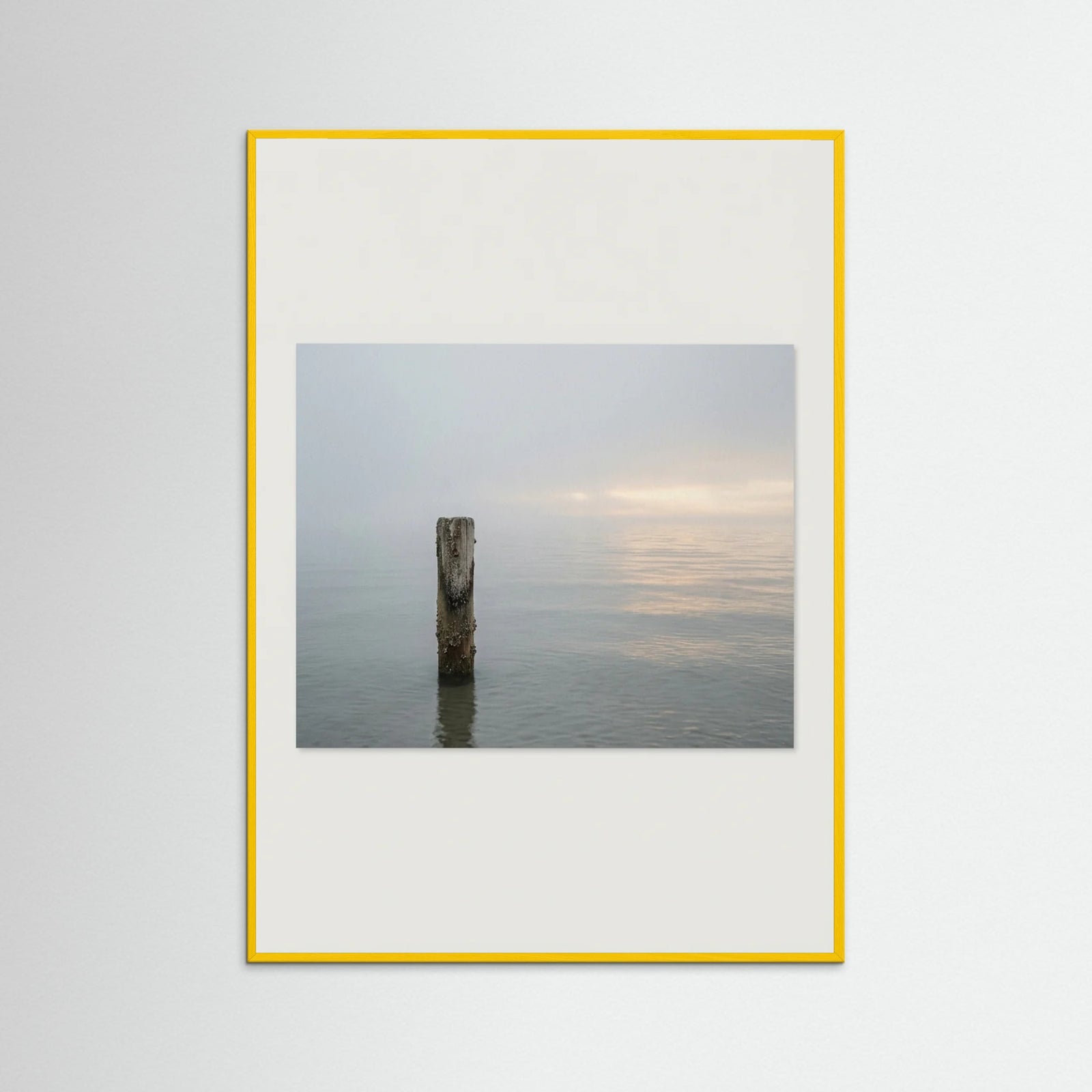 Yellow Wood Coastal Paths