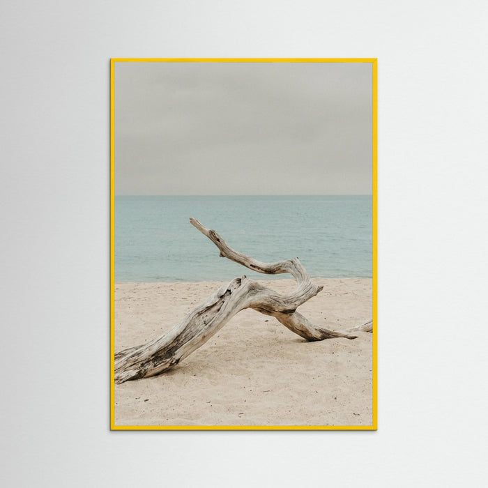 Yellow Wood Coastal Seren