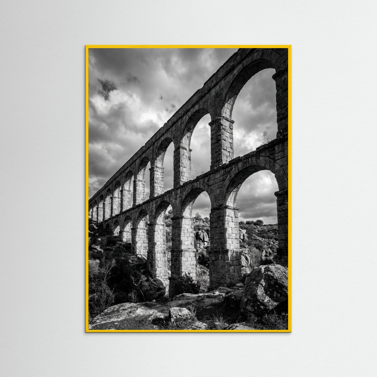 Yellow Wood Coastal Serenity