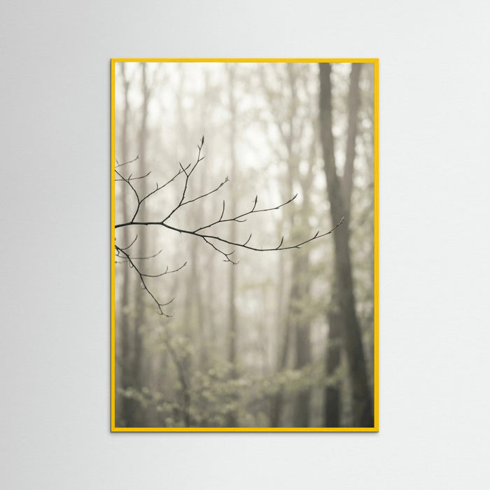 Yellow Wood Coastal Serenity