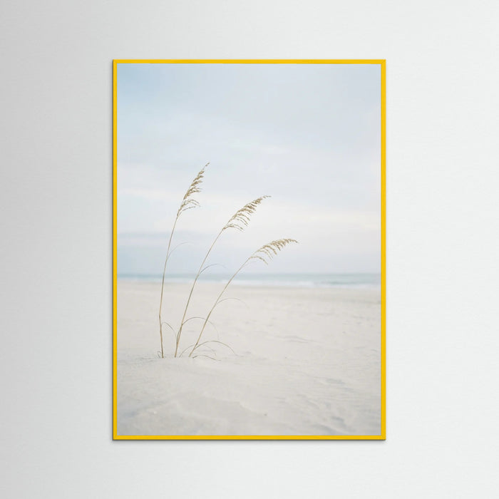 Yellow Wood Coastal Serenity