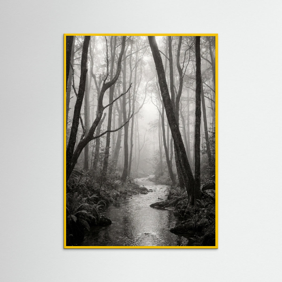 Yellow Wood Coastal Serenity